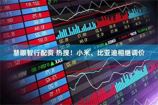 慧眼智行配资 热搜！小米、比亚迪相继调价